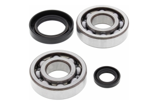 CRANK SHAFT BEARING KIT 24-1004