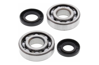 CRANK SHAFT BEARING KIT 24-1009