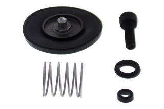 ACCELERATOR PUMP REBUILD KIT 46-3006