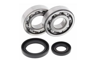 CRANK SHAFT BEARING KIT 24-1017