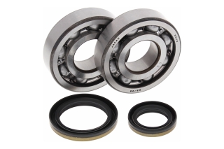 CRANK SHAFT BEARING KIT 24-1021