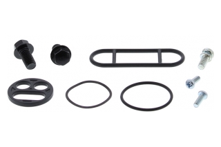 FUEL TAP REPAIR KIT 60-1031