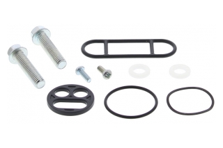 FUEL TAP REPAIR KIT 60-1095