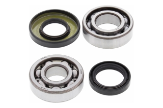 CRANK SHAFT BEARING KIT 24-1071