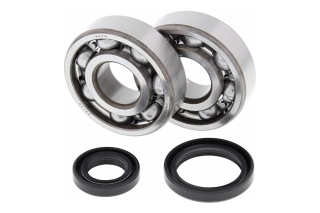 CRANK SHAFT BEARING KIT 24-1016