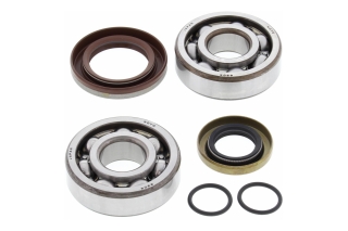CRANK SHAFT BEARING KIT 24-1103