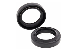 CRANKSHAFT SEAL KIT 24-2039
