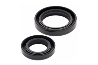 CRANK SHAFT SEAL KIT 24-2008