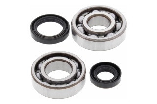 CRANK SHAFT BEARING KIT 24-1015