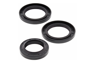 CRANKSHAFT SEAL KIT 24-2041