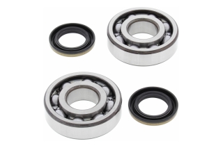 CRANK SHAFT BEARING KIT 24-1045