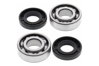 CRANK SHAFT BEARING KIT 24-1100