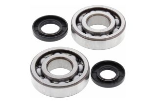 CRANK SHAFT BEARING KIT 24-1010