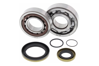 CRANK SHAFT BEARING KIT 24-1115