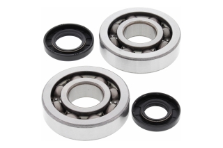 CRANK SHAFT BEARING KIT 24-1047