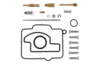 CARBURETOR REBUILD KIT 26-1135