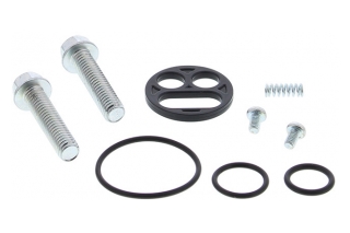 FUEL TAP REPAIR KIT 60-1110