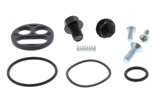 FUEL TAP REPAIR KIT 60-1113