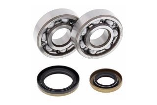 CRANK SHAFT BEARING KIT 24-1110