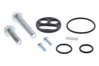 FUEL TAP REPAIR KIT 60-1111
