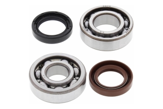 CRANK SHAFT BEARING KIT 24-1072