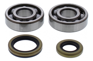 BEARING CRANKSHAFT 24-1119