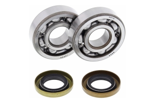 CRANK SHAFT BEARING KIT 24-1102