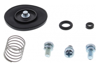 ACCELERATOR PUMP REBUILD KIT 46-3001
