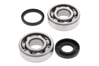 CRANK SHAFT BEARING KIT 24-1108