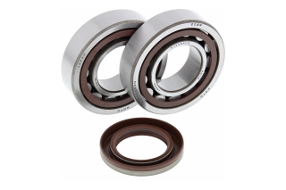 CRANK SHAFT BEARING KIT 24-1106