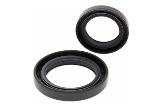 CRANKSHAFT SEAL KIT 24-2038