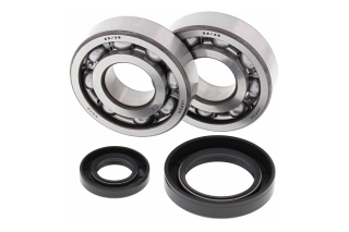 CRANK SHAFT BEARING KIT 24-1030