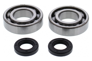 BEARING CRANKSHAFT 24-1121