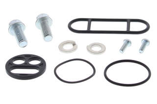 FUEL TAP REPAIR KIT 60-1000
