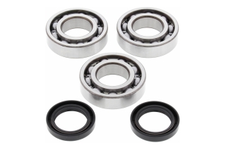 BEARING CRANKSHAFT 24-1077