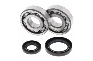 CRANK SHAFT BEARING KIT 24-1019