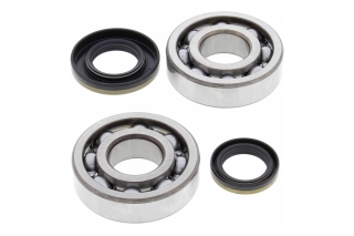 CRANK SHAFT BEARING KIT 24-1046