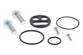 FUEL TAP REPAIR KIT 60-1105