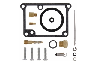 CARBURETOR REBUILD KIT 26-1313