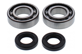 BEARING CRANKSHAFT 24-1120