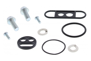 FUEL TAP REPAIR KIT 60-1016