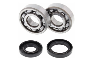 CRANK SHAFT BEARING KIT 24-1025