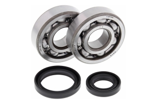 CRANK SHAFT BEARING KIT 24-1014