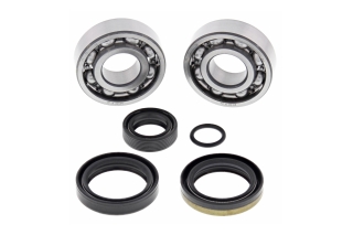 CRANK SHAFT BEARING KIT 24-1099