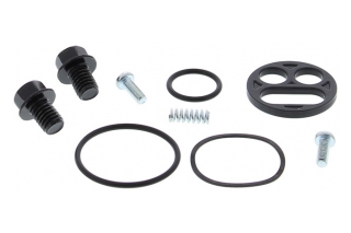 FUEL TAP REPAIR KIT 60-1119