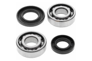 CRANK SHAFT BEARING KIT 24-1068