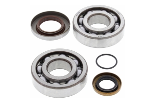 CRANK SHAFT BEARING KIT 24-1112