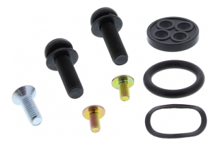 FUEL TAP REPAIR KIT 60-1029