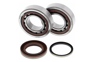 CRANK SHAFT BEARING KIT 24-1105