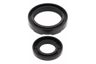 CRANK SHAFT SEAL KIT 24-2019